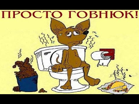 № 604 ГОВНЮК № 604 ГОВНЮК