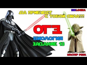 ОГЭ Биология Разбор Задания 13 Рохлов 2019 Звездные Войны