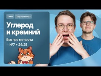 12. Химия элементов. Углерод, кремний и все про металлы | Полугодовой курс | Степенин и Дацук