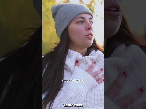 Почему мы зеваем? Почему мы зеваем?