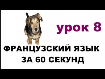 французский язык за 60 секунд, урок 8, УКАЗАТЕЛЬНЫЕ ПРИЛАГАТЕЬНЫЕ  CE, CET, CETTE, CES.