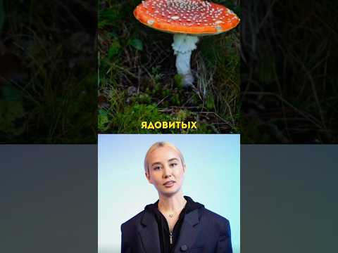 А вы знали про этот удивительный факт из биологии?