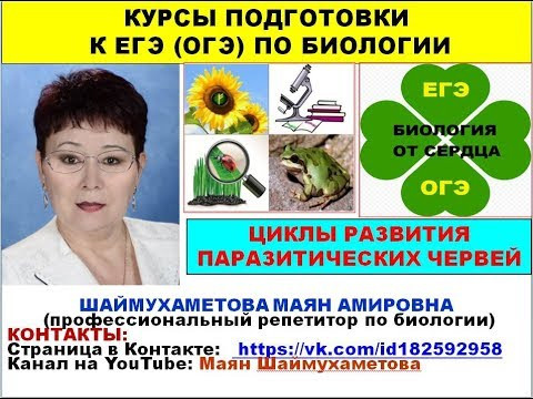 ЦИКЛЫ РАЗВИТИЯ ПАРАЗИТИЧЕСКИХ ЧЕРВЕЙ ЦИКЛЫ РАЗВИТИЯ ПАРАЗИТИЧЕСКИХ ЧЕРВЕЙ