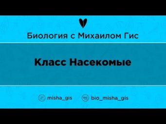 Класс Насекомые | ЕГЭ ОГЭ Биология с Михаилом Гис