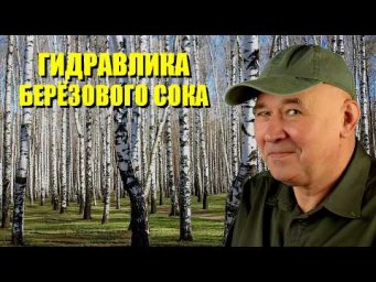Гидравлика берёзового сока
