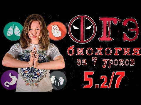 Все ОГЭ биология 2018 за 7 уроков. 5.2/7 Все ОГЭ биология 2018 за 7 уроков. 5.2/7