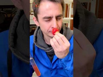 КАК ДОСТАТЬ ДНК ИЗ КЛУБНИКИ???