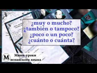 &iquest;Muy o mucho? &iquest;tambi&eacute;n o tampoco? &iquest;poco o un poco? &iquest;cu&aacute;nto o cu&aacute;nta?