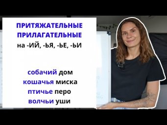 Урок 5. Притяжательные прилагательные на -ИЙ, -ЬЯ, -ЬЕ, -ЬИ.