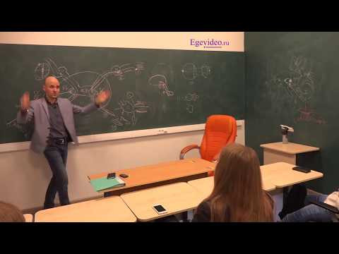Гипоталамус Гипоталамус