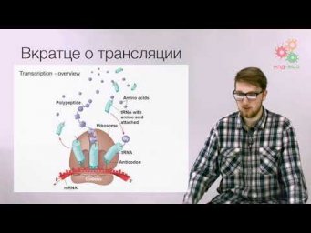 Реализация геномной информации. Трансляция. Введение в синтез белка (без музыки)