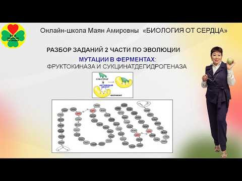 ДВА ЗАДАНИЯ ЛИНИИ 26 ПО МУТАЦИЯМ ИЗ ЕГЭ 2025 ДВА ЗАДАНИЯ ЛИНИИ 26 ПО МУТАЦИЯМ ИЗ ЕГЭ 2025
