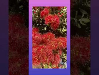 Краски лета ❤️