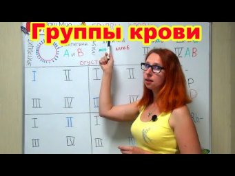 Группы крови. Чем отличаются группы крови?