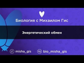 Энергетический обмен  | ЕГЭ ОГЭ Биология с Михаилом Гис