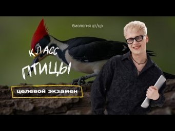 КЛАСС ПТИЦЫ | Целевой экзамен