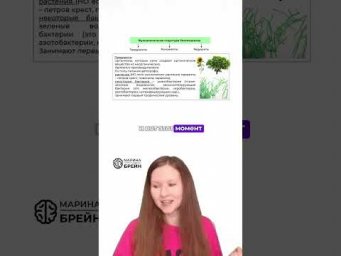 ты ПОТЕРЯЕШЬ БАЛЛ на этом  #биологияегэ  #биология #экологияегэ