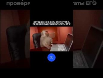ТЕБЯ СЛИЛИ #обществознание #сотка #егэ #обществознаниеегэ #егэобществознание