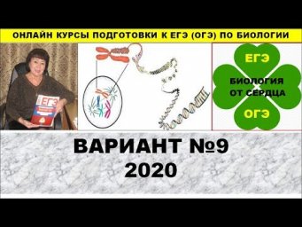 ВАРИАНТ №9. 2020