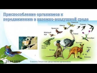 5 класс. Урок 26 апреля 2022 года
