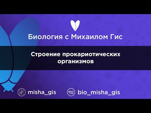Строение прокариот | ЕГЭ ОГЭ Биология с Михаилом Гис