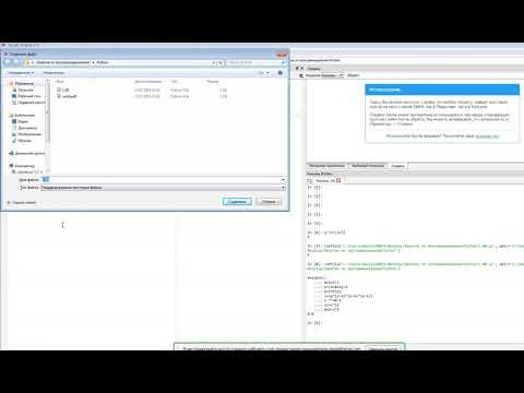 Первые программы Python Д202