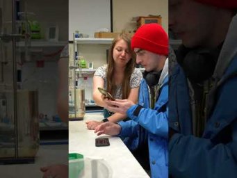 Хочешь на северный полюс? Тогда тебе на Ледокол знаний