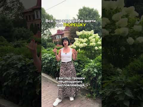 Пюрешка: все що вам треба знати