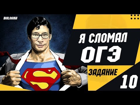 ОГЭ Биология Разбор Задания 10 Рохлов 2019