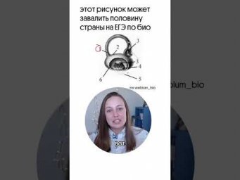 что это такое? пишите варианты в комментариях! тгк: webium_bio #биология #егэ #химбио