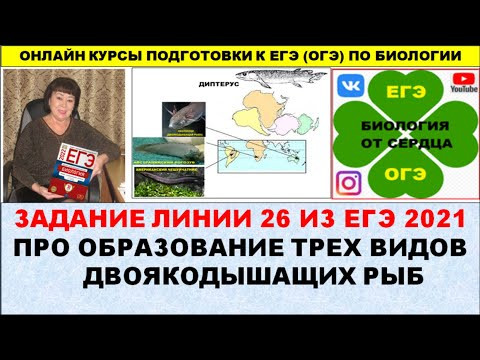 ЗАДАНИЕ ЛИНИИ 26 ИЗ ЕГЭ 2021 ГОДА ПРО ОБРАЗОВАНИЕ ТРЕХ ВИДОВ ДВОЯКОДЫШАЩИХ РЫБ ЗАДАНИЕ ЛИНИИ 26 ИЗ ЕГЭ 2021 ГОДА ПРО ОБРАЗОВАНИЕ ТРЕХ ВИДОВ ДВОЯКОДЫШАЩИХ РЫБ