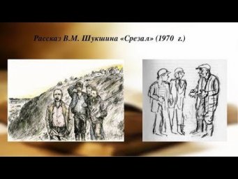 6 класс 30 я ЛИТ Шукшин