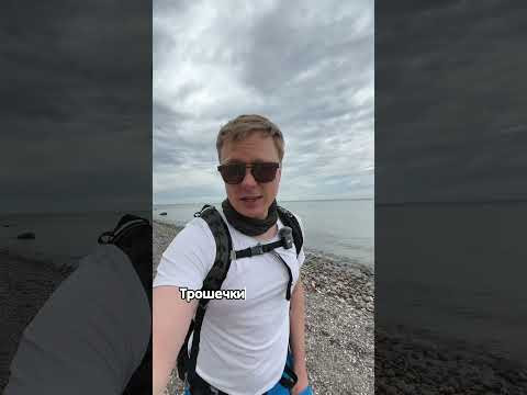 Вчив німецьку мову з безхатченками 
