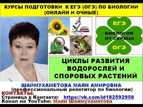 ЦИКЛЫ РАЗВИТИЯ ВОДОРОСЛЕЙ И СПОРОВЫХ РАСТЕНИЙ ЦИКЛЫ РАЗВИТИЯ ВОДОРОСЛЕЙ И СПОРОВЫХ РАСТЕНИЙ