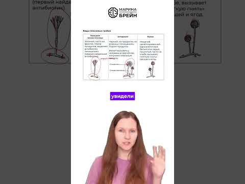 ПЛЕСЕНЬ ГЛУБЖЕ ПЯТНА тгк: Марина Брейн #егэ2027 #егэбиология