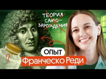 Как с помощью мух опровергнуть теорию самозарождения. Опыт Франческо Реди