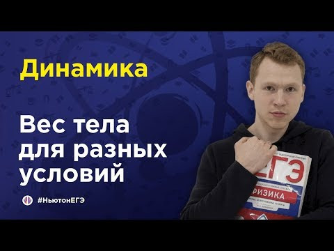 Вес тела для разных условий| ЕГЭ Физика | Николай Ньютон