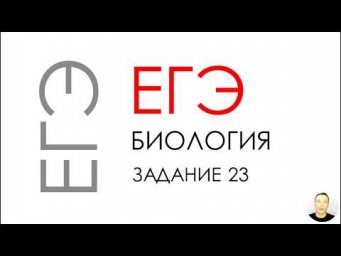 ЕГЭ биология 2020 Задание 23 Рохлов разбор
