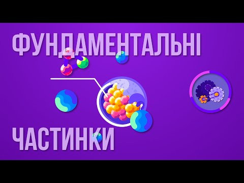 Фундаментальні частинки: З чого складається Всесвіт?