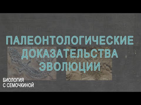 Палеонтологические доказательства эволюции