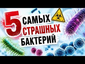 5 самых страшных бактерий!