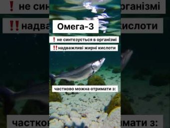 Омега 3-6-9. Чи є користь?
