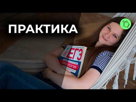 практика по эволюции практика по эволюции