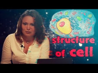 Biology for beginners: Cell Structure and function