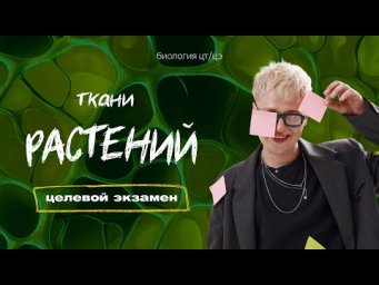 ТКАНИ РАСТЕНИЙ | Целевой экзамен