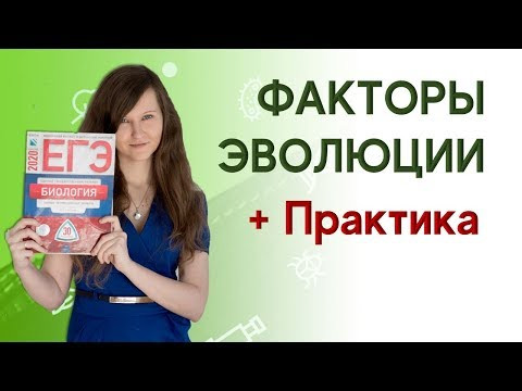 Движущие факторы эволюции
