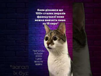 Сталі вирази французької мови