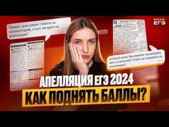 КАК ПОДНЯТЬ БАЛЛЫ НА АПЕЛЛЯЦИИ ЕГЭ 2024? / ПОДАВАТЬ ИЛИ НЕТ? КАК АРГУМЕНТИРОВАТЬ КРИТЕРИИ