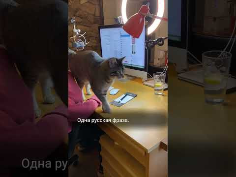 Одна русская фраза. А сколько вариантов в английском!