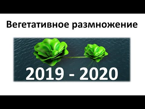 12. Вегетативное размножение (6 класс) - биология, подготовка к ЕГЭ и ОГЭ 2020